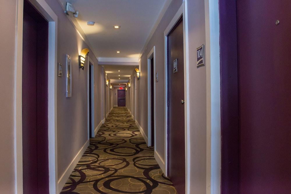 Shelley Hotel Miami Beach Bagian luar foto